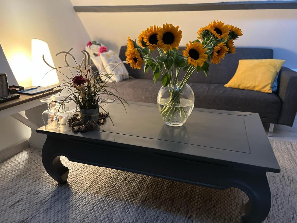 Maison 4 Personnes Tout Confort Alentours Boulogne Sur Mer Samer Dış mekan fotoğraf